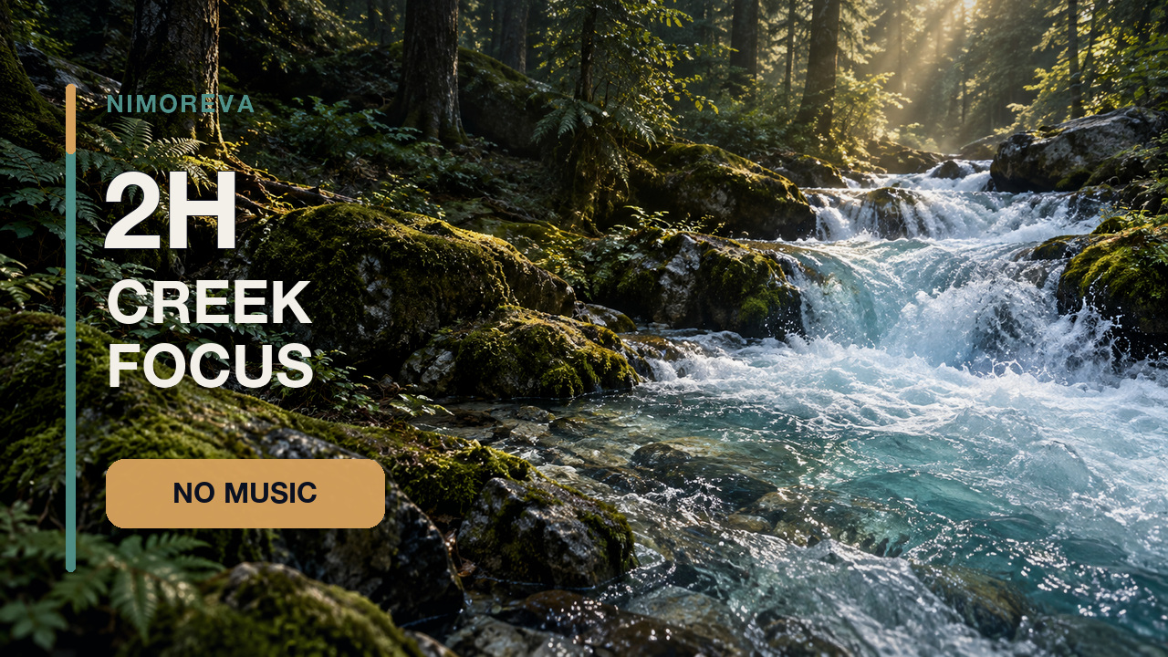 Clear mountain creek flowing through a sunlit green forest